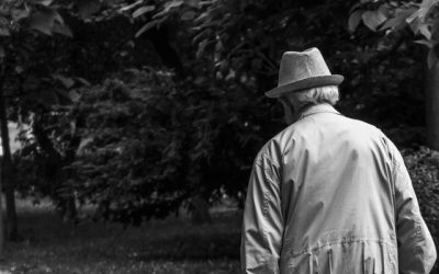 Desarrollo web para empresas de cuidado de mayores